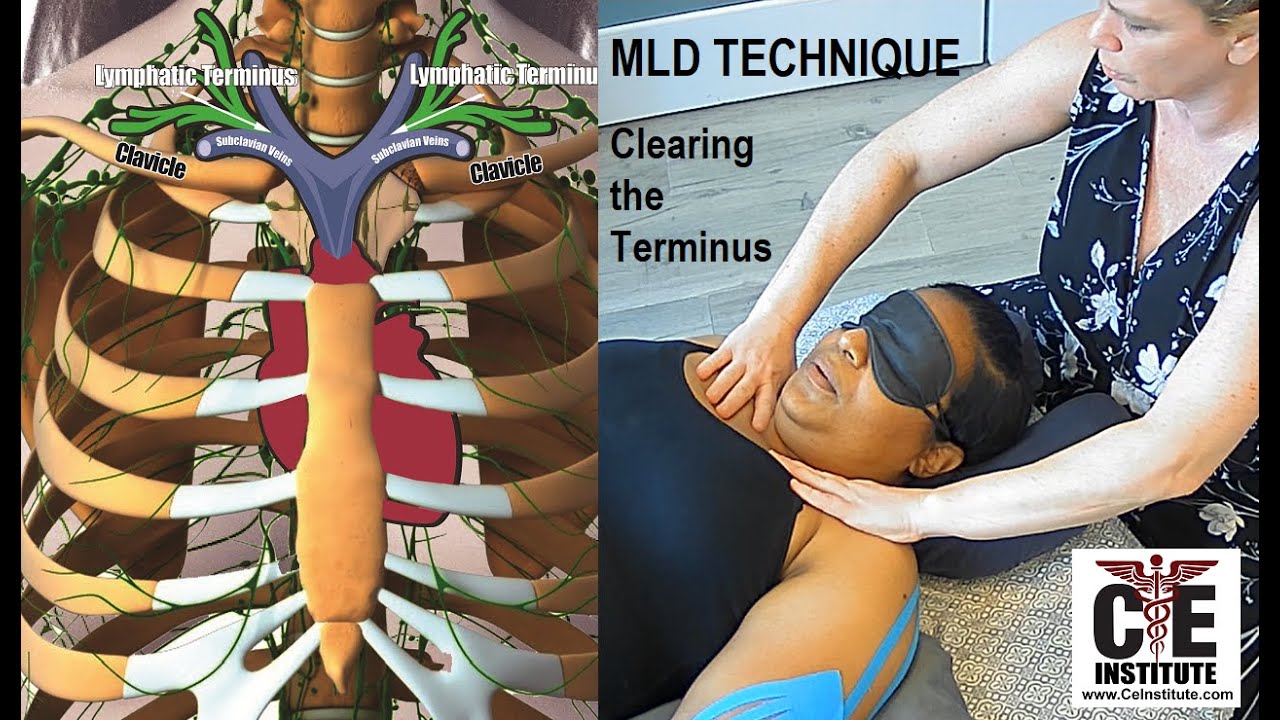 Manual Lymphatic Drainage TECHNIQUE: MLD Pumping & Clearing the Terminus