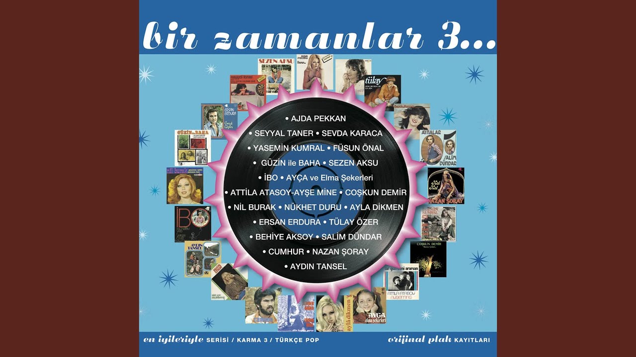 Anlamazdın