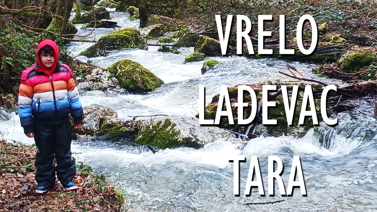 Vrelo Lađevac Tara – Skriveni termalni raj u srcu Tare