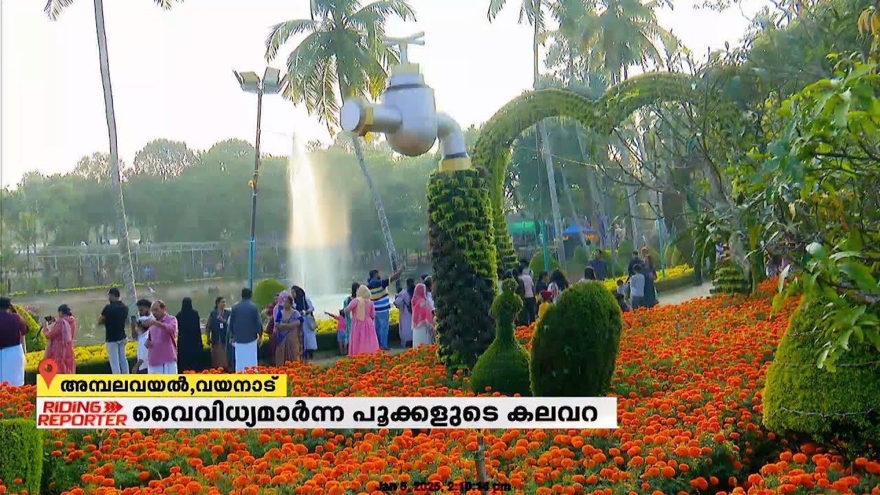 പൂക്കൂടയായി അമ്പലവയല്‍, പൂക്കളുടെ കലവറയൊരുക്കി 'പൂപ്പൊലി' | Wayanad | Flower Show
