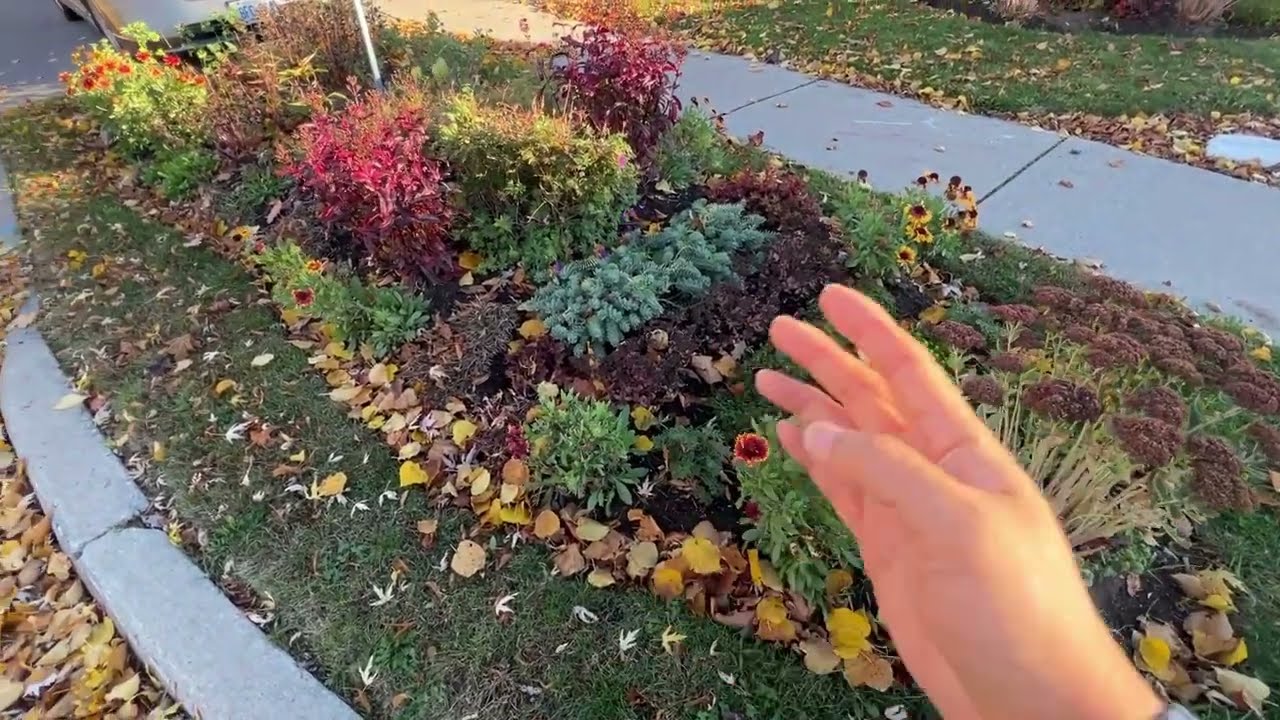 邻居家的船型花坛 - 仔细看看这个获奖花坛