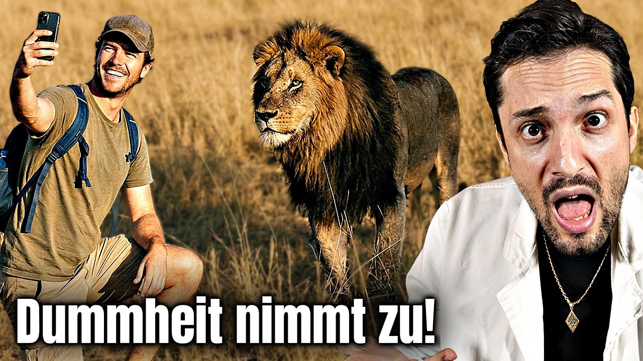 Der WAHRE Grund, warum wir d&uuml;mmer werden | Sind wir verloren?