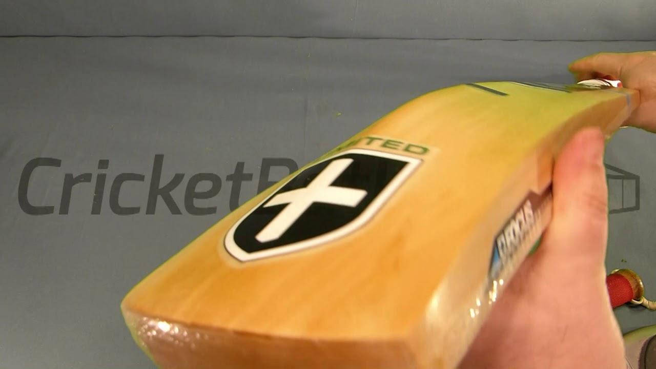 King of Clubs Focus Pure Cricket Bat Review
