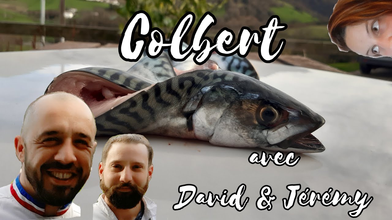 Le Maquereau Colbert par David Gomes et Jérémy Vieira
