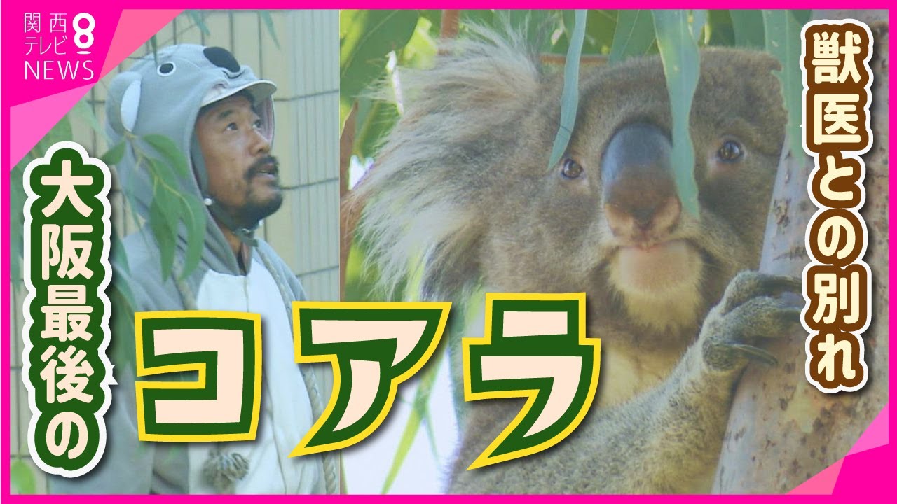 【さよならアーク父ちゃん】大阪 