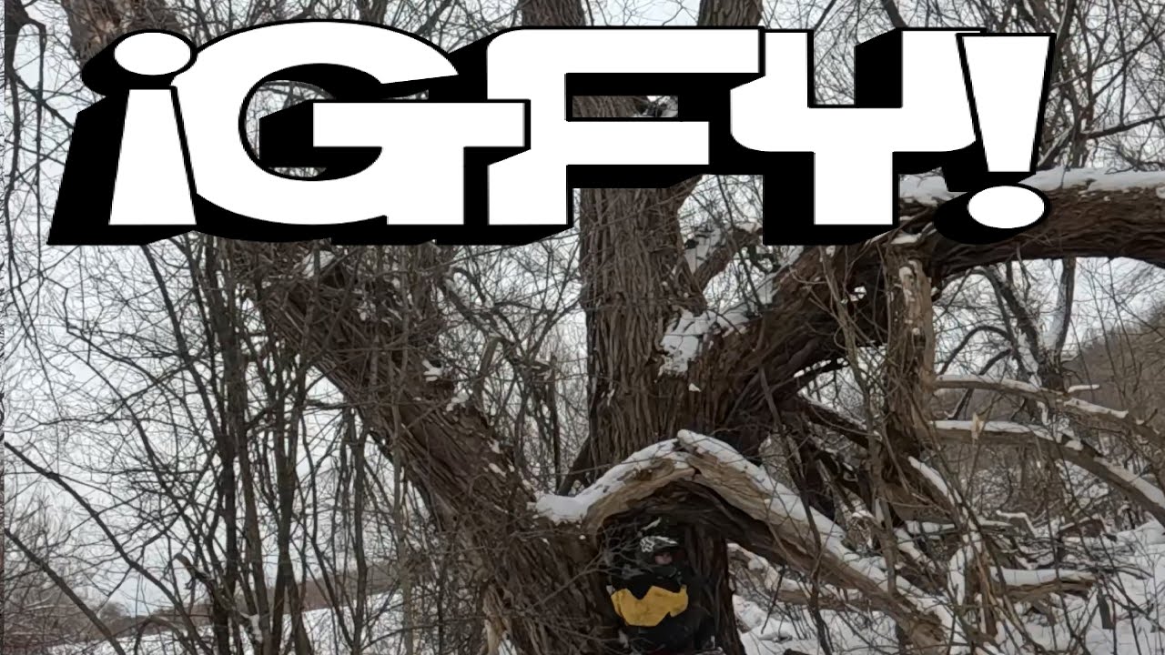 Старое корявое дерево