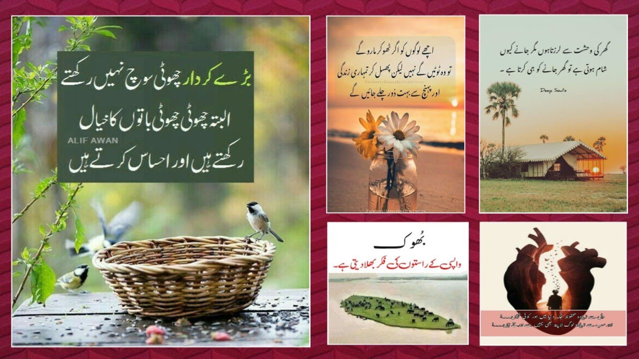 amazing Urdu quotes collection | golden words in Urdu | precious Urdu quotes | Urdu Islamic status