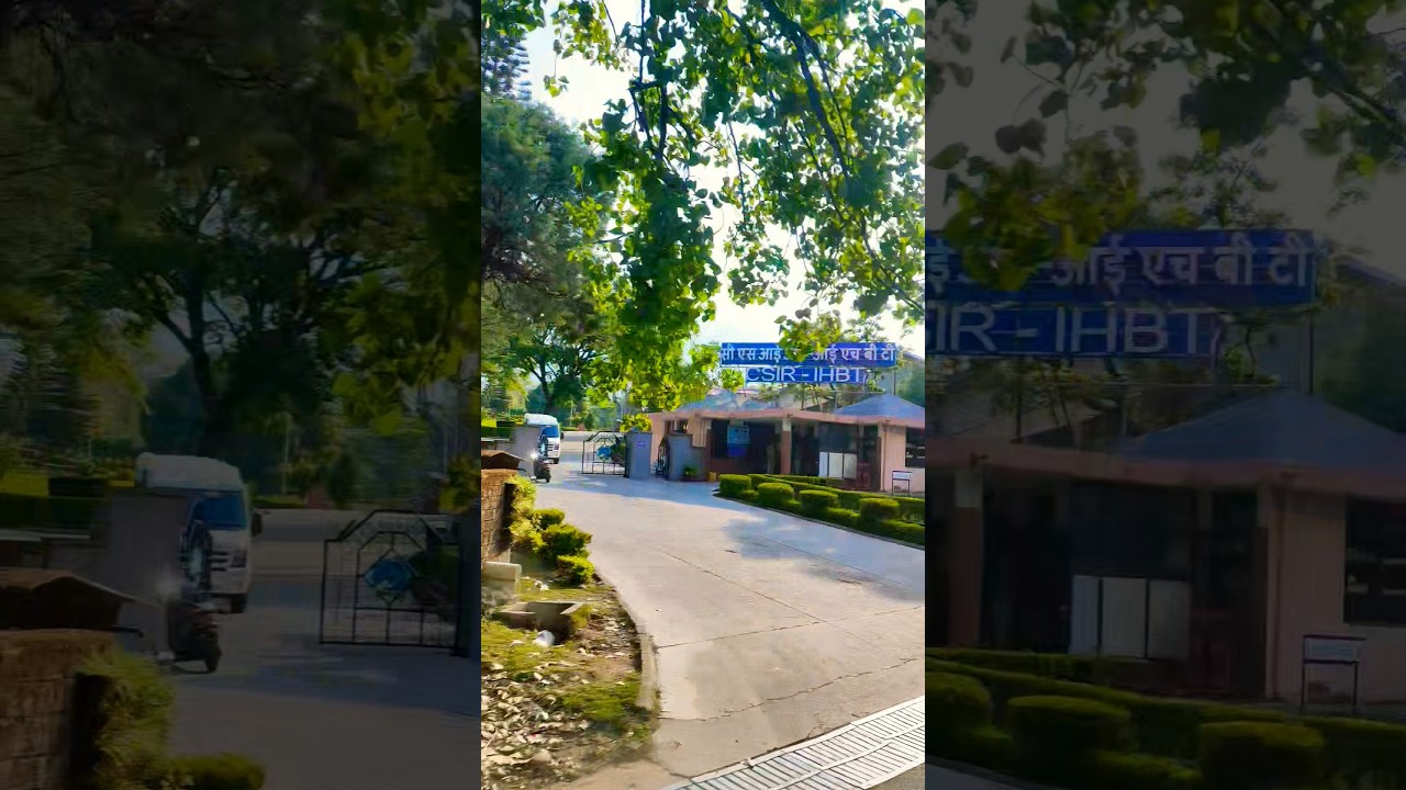Lag ja gale #bollywood #song #shorts hpdevbhoomi #hpdevbhoomi @hpdevbhoomi