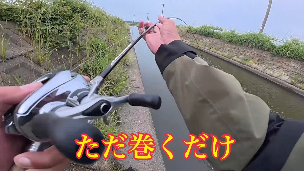過去1番釣れてるトップウォーターはこれです。YouTuber釣りバトル