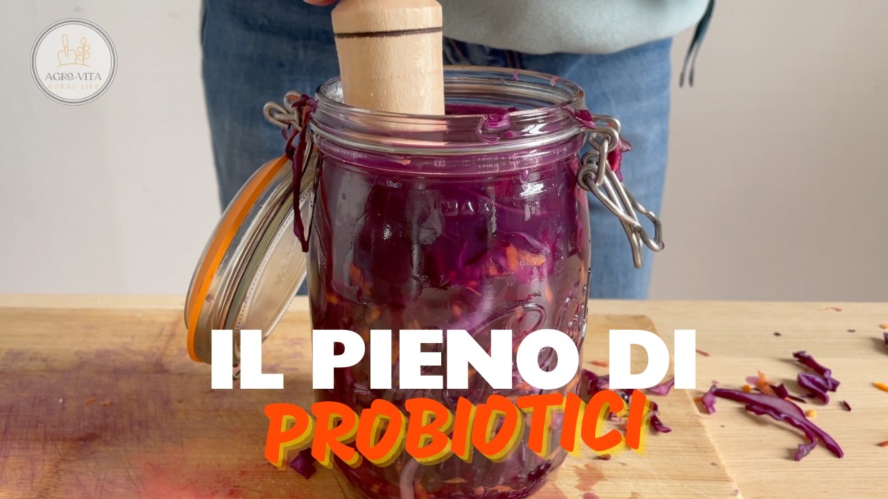 Cavolo rosso, carote e cipolle fermentati: una volta provati… non potrai più farne a meno!
