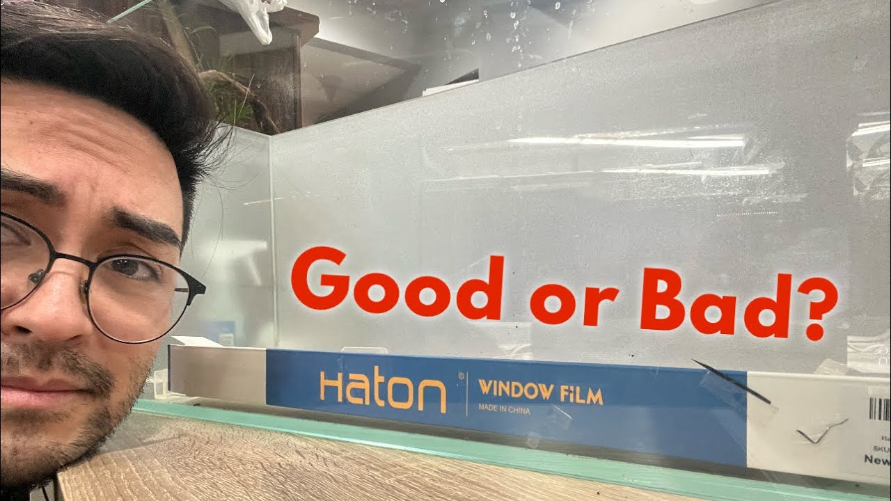 Window film as an aquarium background