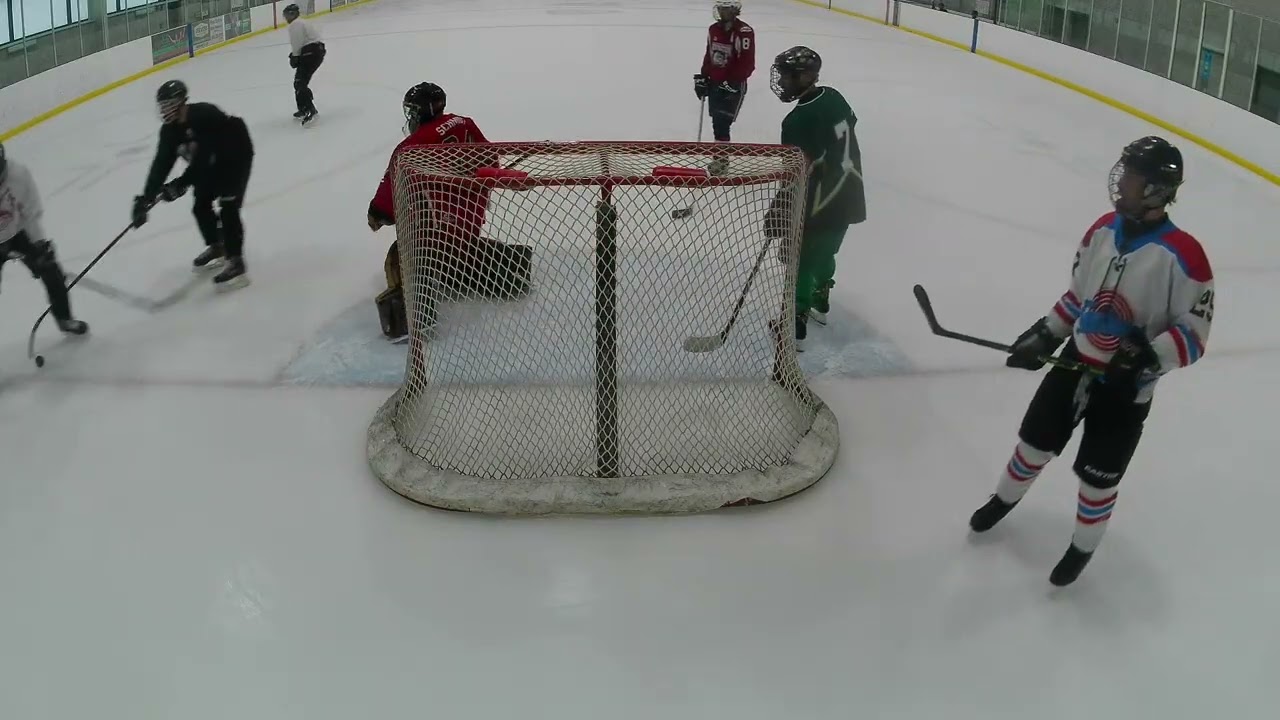 Harry Howell Shinny Feb 20 2026