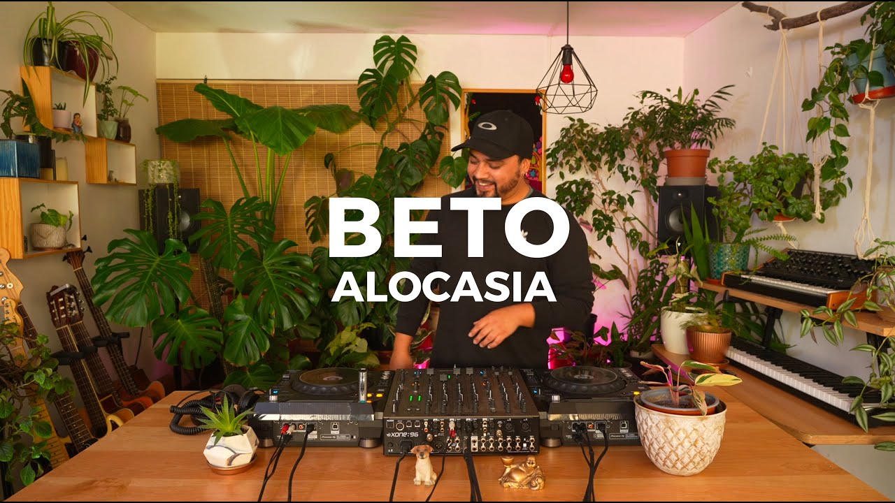 Alocasia TV Santiago - Beto [Dj Set] #afrohouse #house #techno
