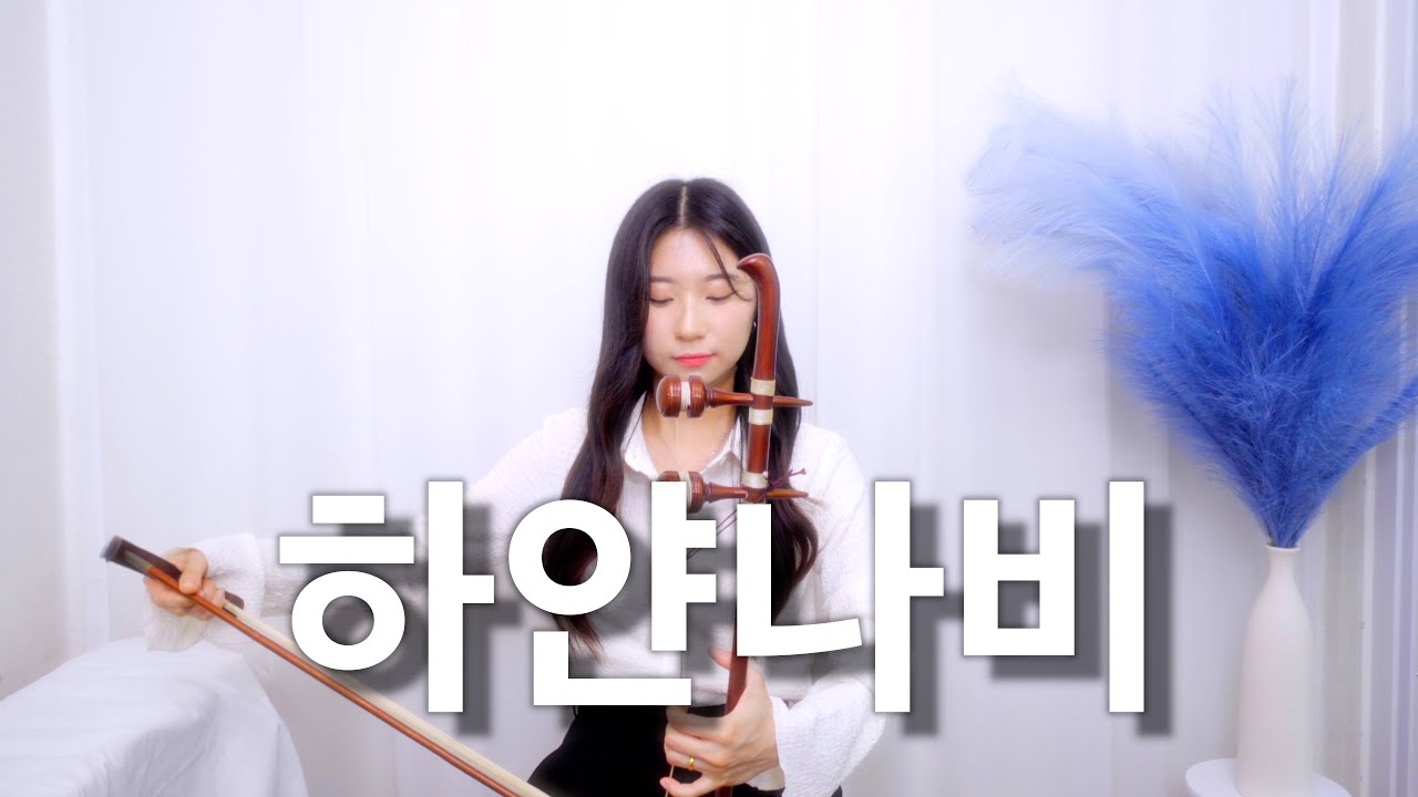 김정호 하얀나비