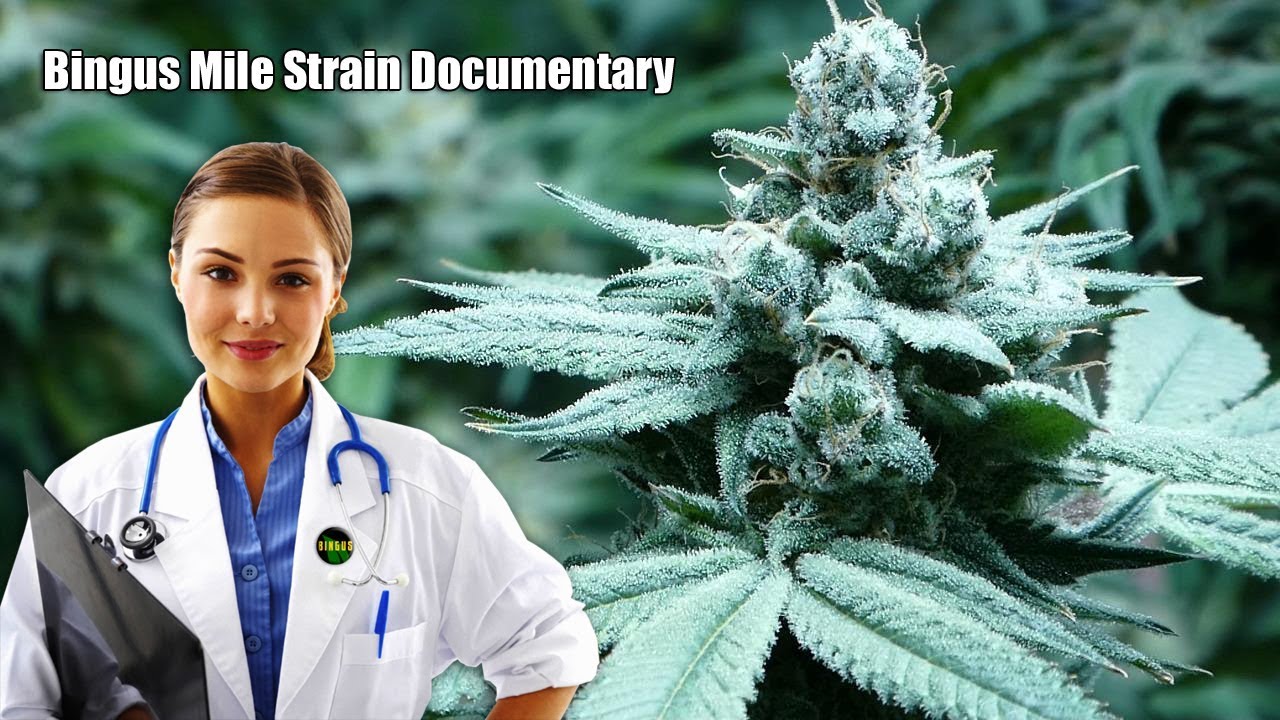 Bingus Mile Strain Documentary
