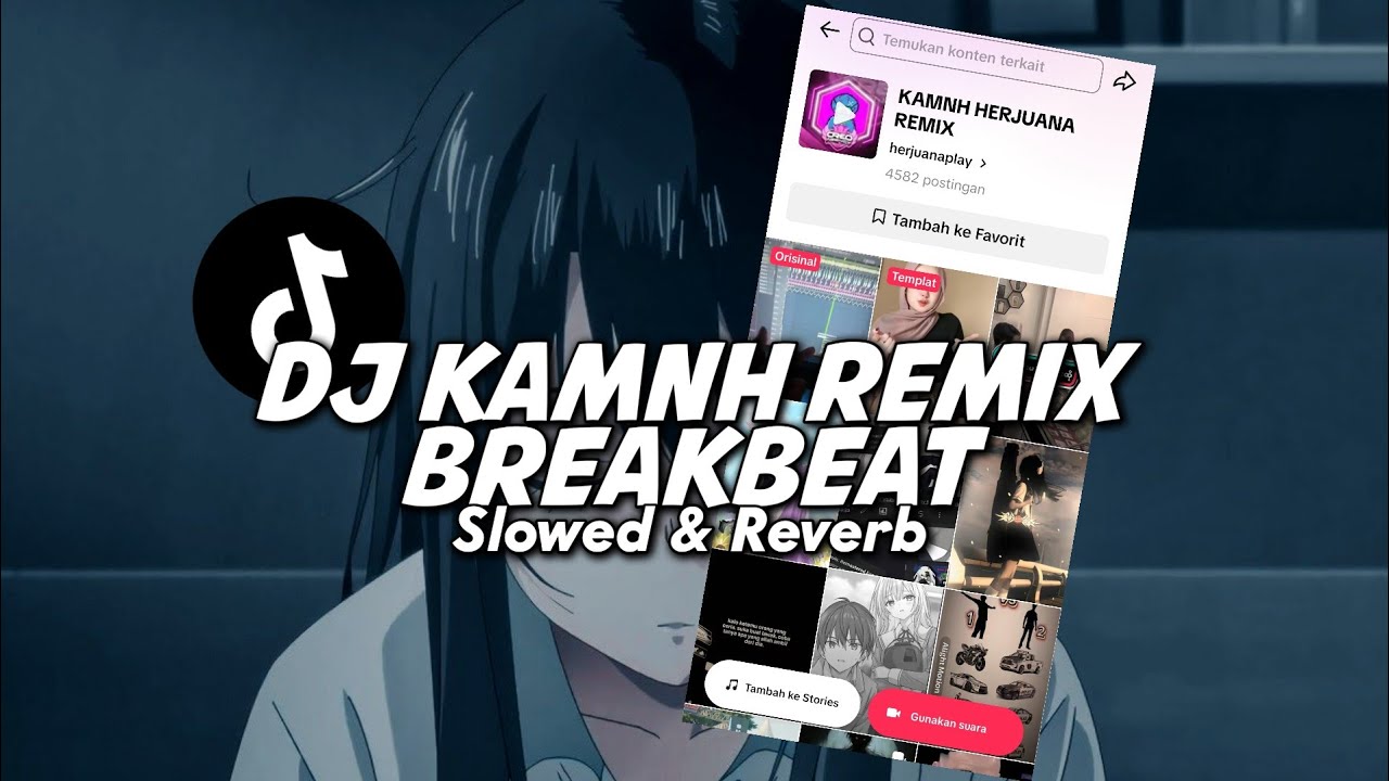 DJ KAMNH BREAKBEAT (Slowed & Reverb)