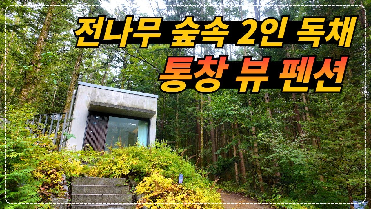 강원 평창_자연 힐링되는 전나무 숲속 독채 펜션 밀브릿지