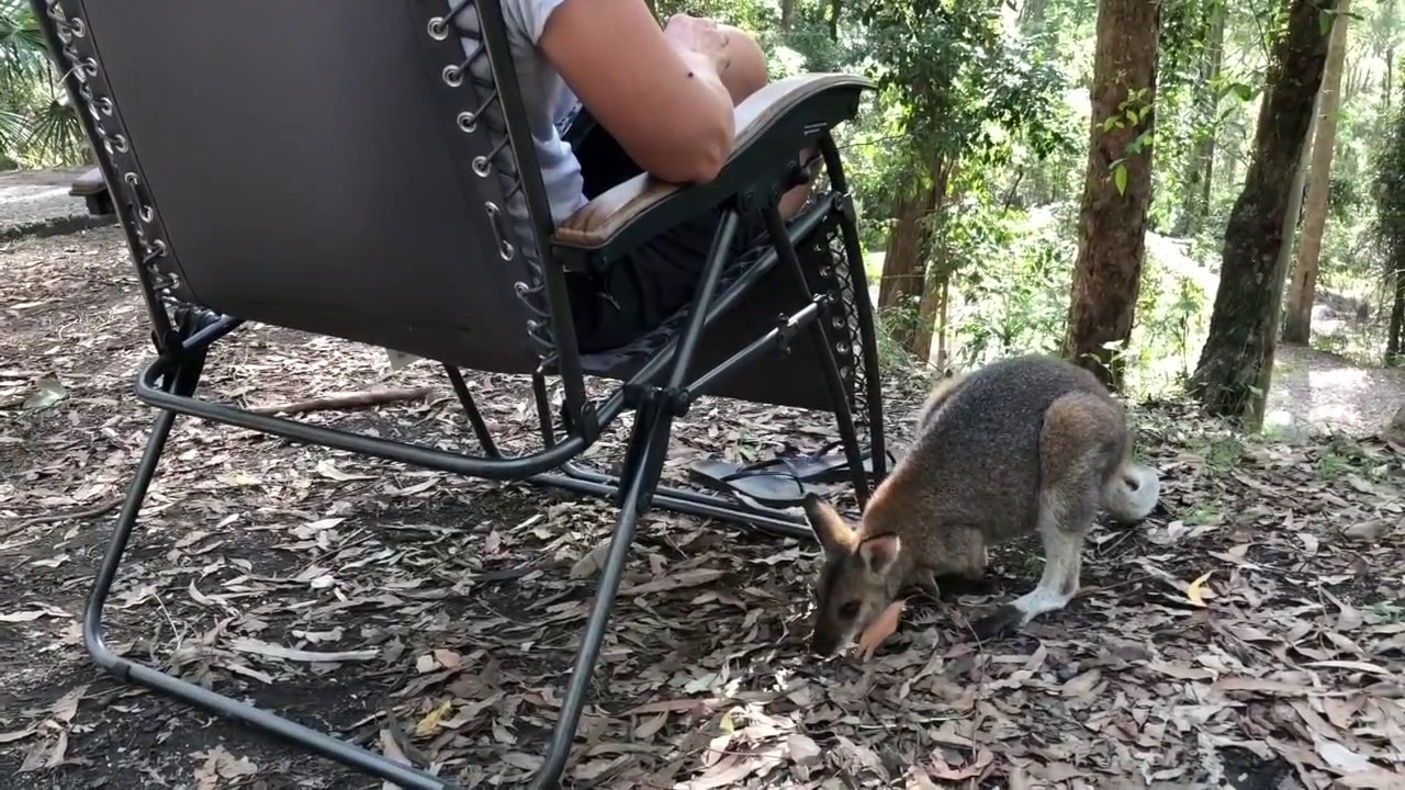 Watagans National Park, Gap Creek Campground