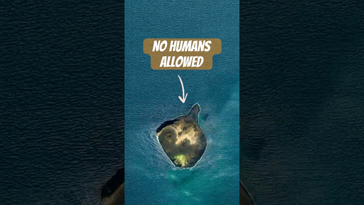 This island is a giant Petri dish