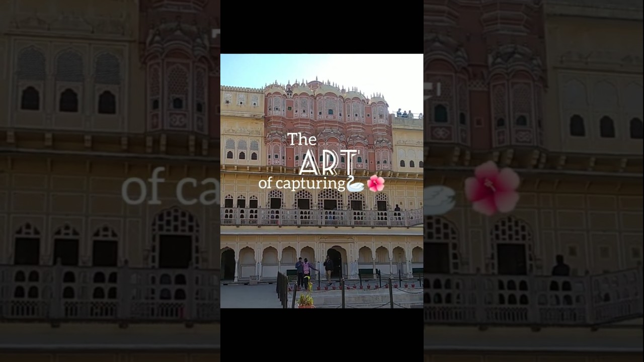 The art of capturing🌺 #jaipur #cinematic #art #aesthetic