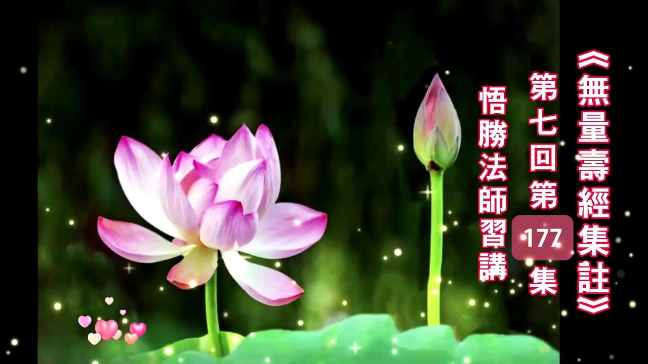26.02.14悟勝法師分享《無量壽經集註》第177集第7回