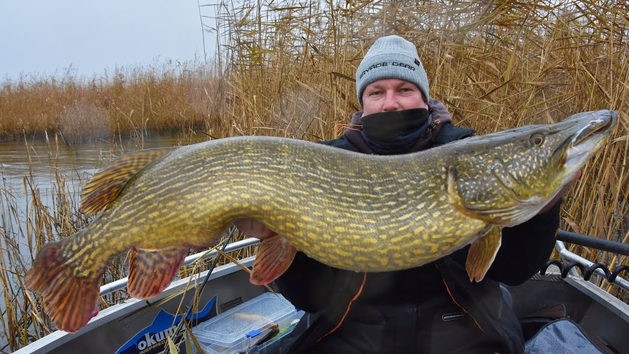 A tribute to my polish pike fishing 😍🎣😁