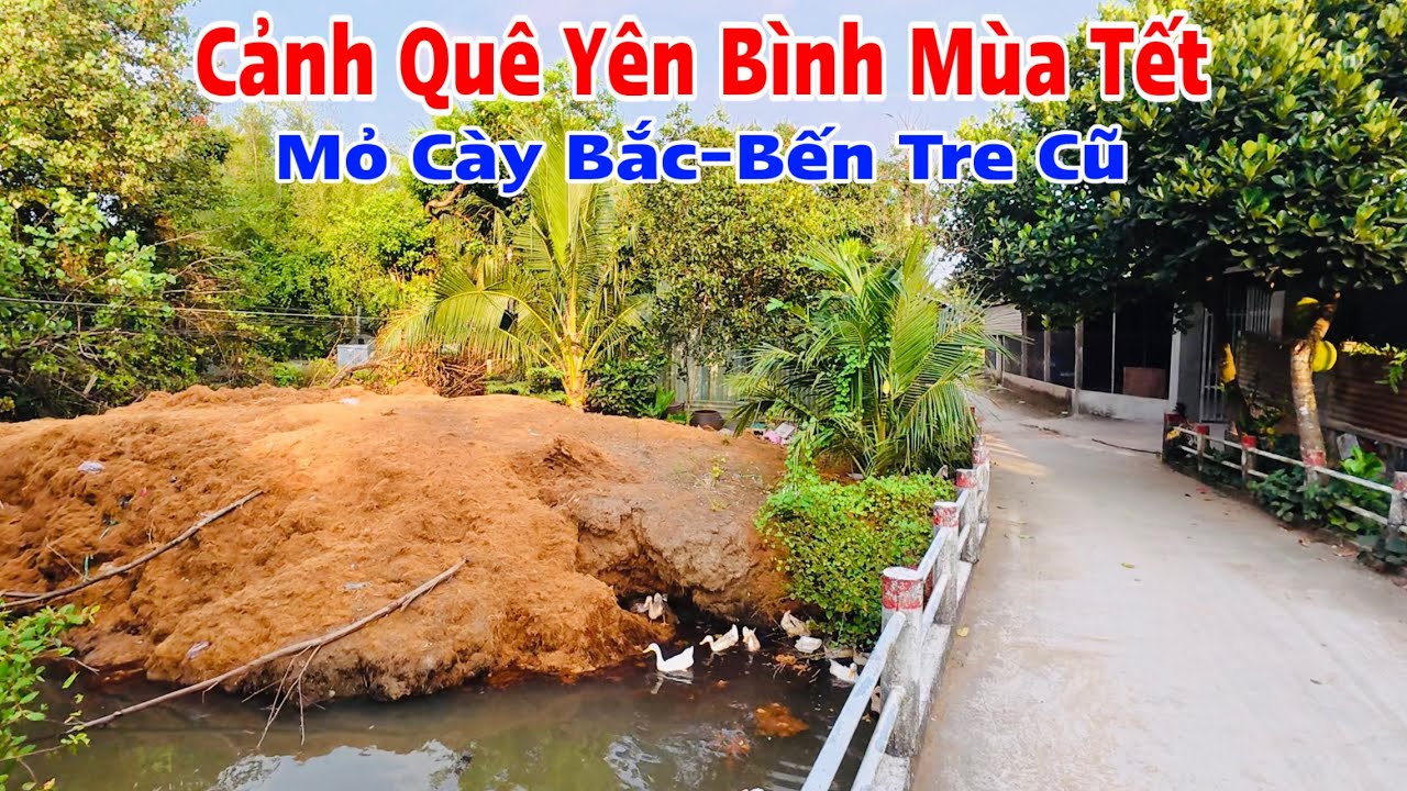 Khám phá vùng quê yên bình dịp cuối năm mỏ cày bắc,tỉnh bến tre cũ