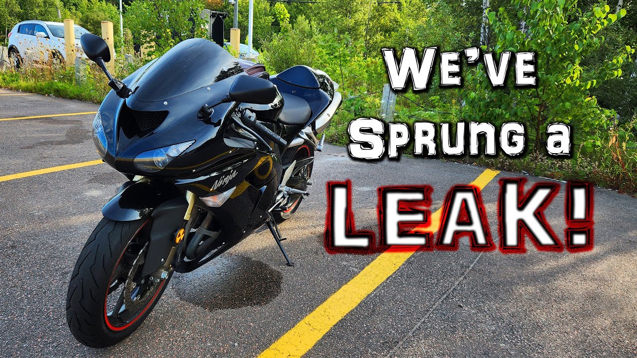 Fundy Fork Troubles | ZX-10R Ride