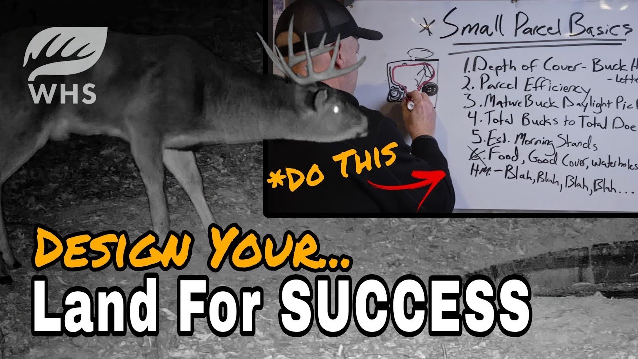 How To Build A Small Deer Hunting Parcel