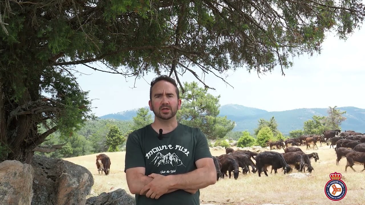 Entrevista a Mario Esteban Correal - Presidente Asoc. Cabra de Guadarrama