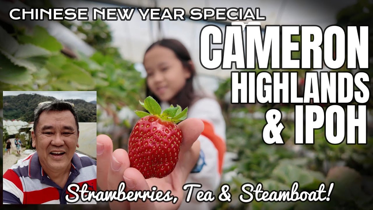 3D2N Cameron Highlands Cosy Homestay Near Pasar Malam: Our Chinese New Year Family Trip #malaysia