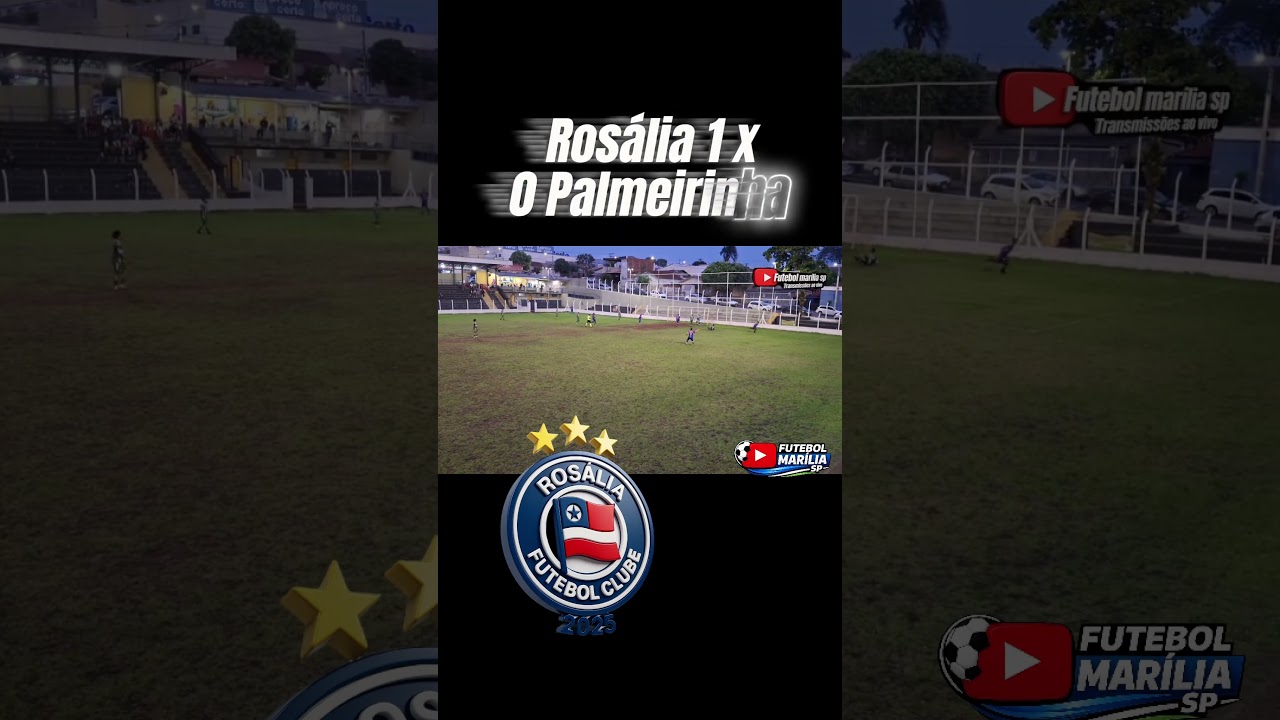 Rosalia 1 a 0 palmeirinha,copa alfa sports 2025 #futebol #time #gol #bola #campo #jogo #shorts