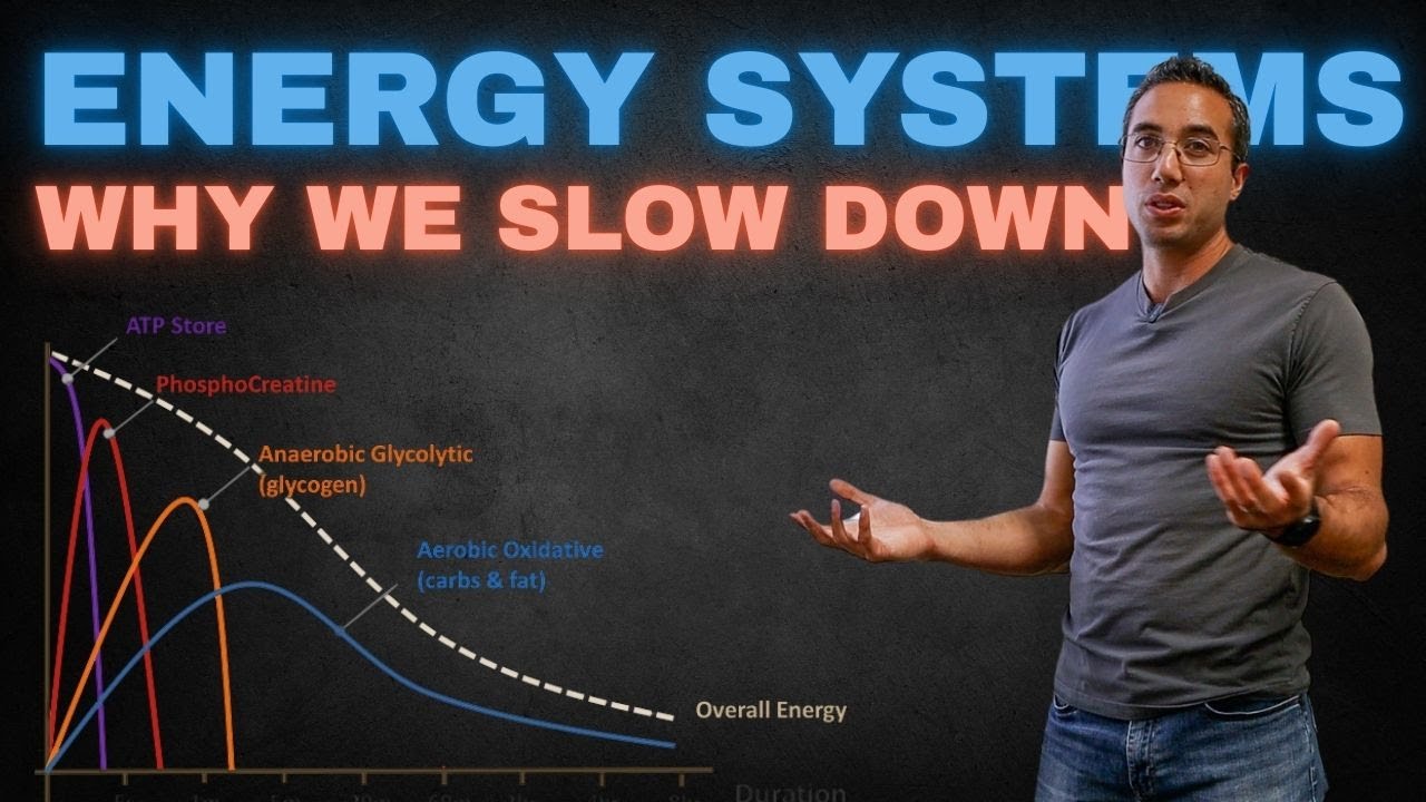 Why Do We Slow Down?