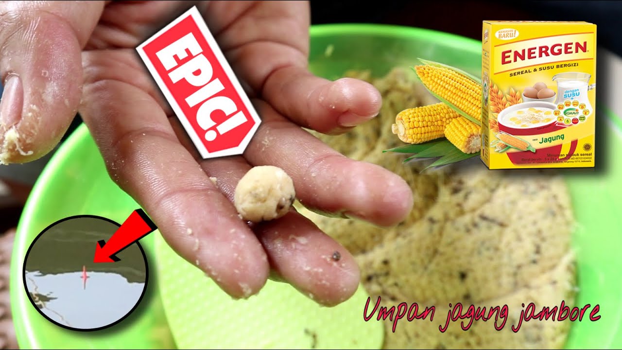 ANJAAAAYYY‼️ BENANG BELUM TURUN UDAH LANGSUNG DI SAMBAR || Am#105