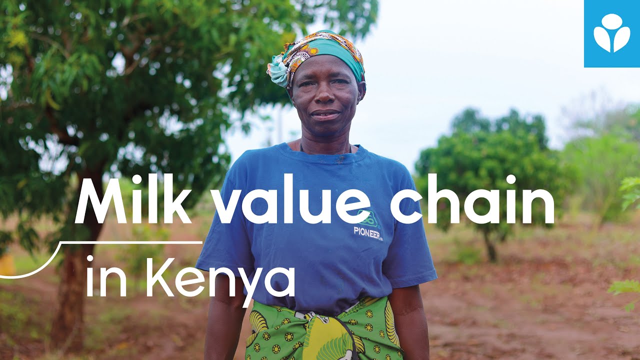 Milk value chain in Kenya | #ForThoseInNeed
