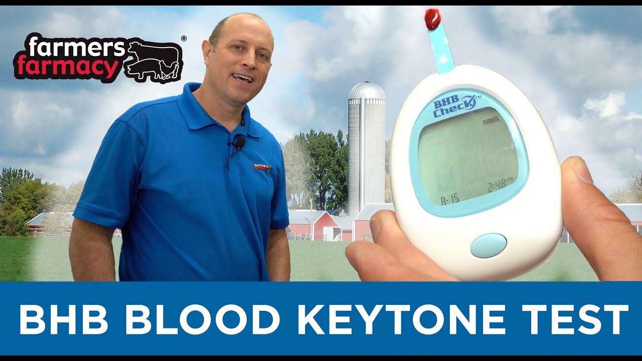 BHBCheck Blood Ketone Test - Feature Product Friday