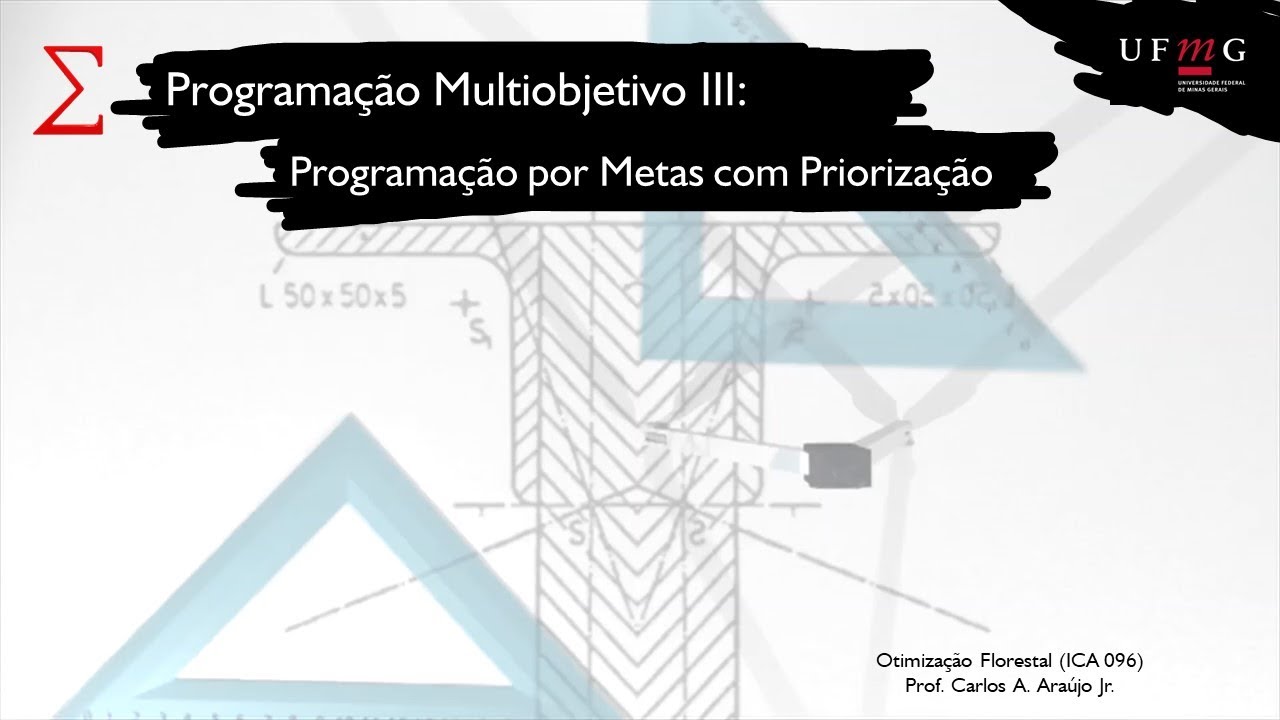 Programação Multiobjetivo: Programação por Metas com Priorização