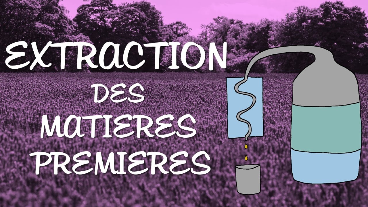 Les techniques d'EXTRACTION en parfumerie - Matières premières (2/2)