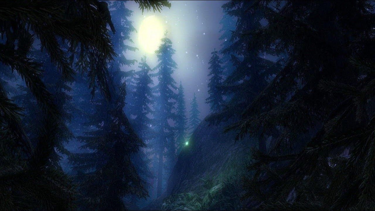 Top Atmospheric Black Metal Albums (and EP) 2019 (Chapter One)