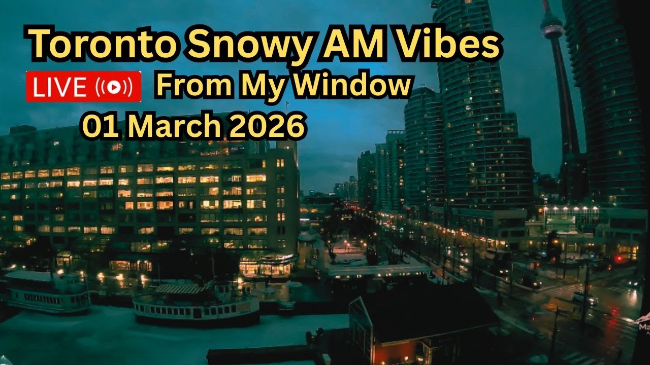 🔴Toronto Window Cam LIVE HD | MaoChow Adventure 1st March 2026 Snowy AM vibes