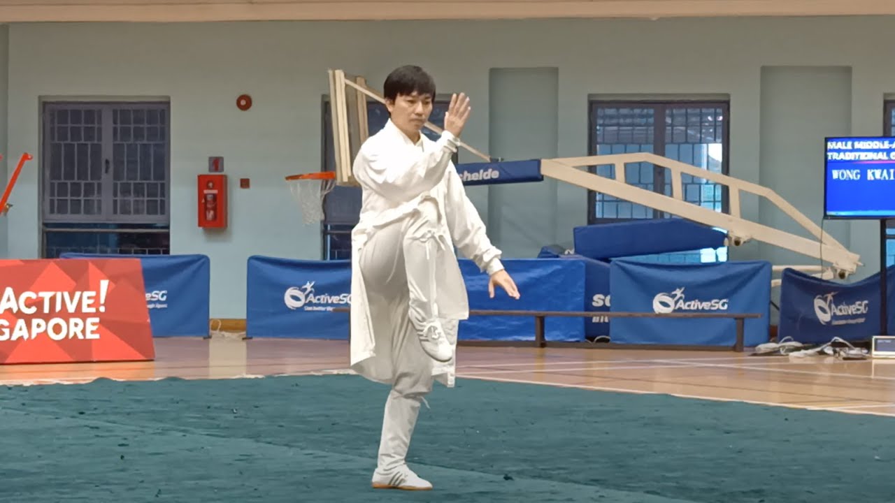 Wudang Taijiquan 武当 太极拳