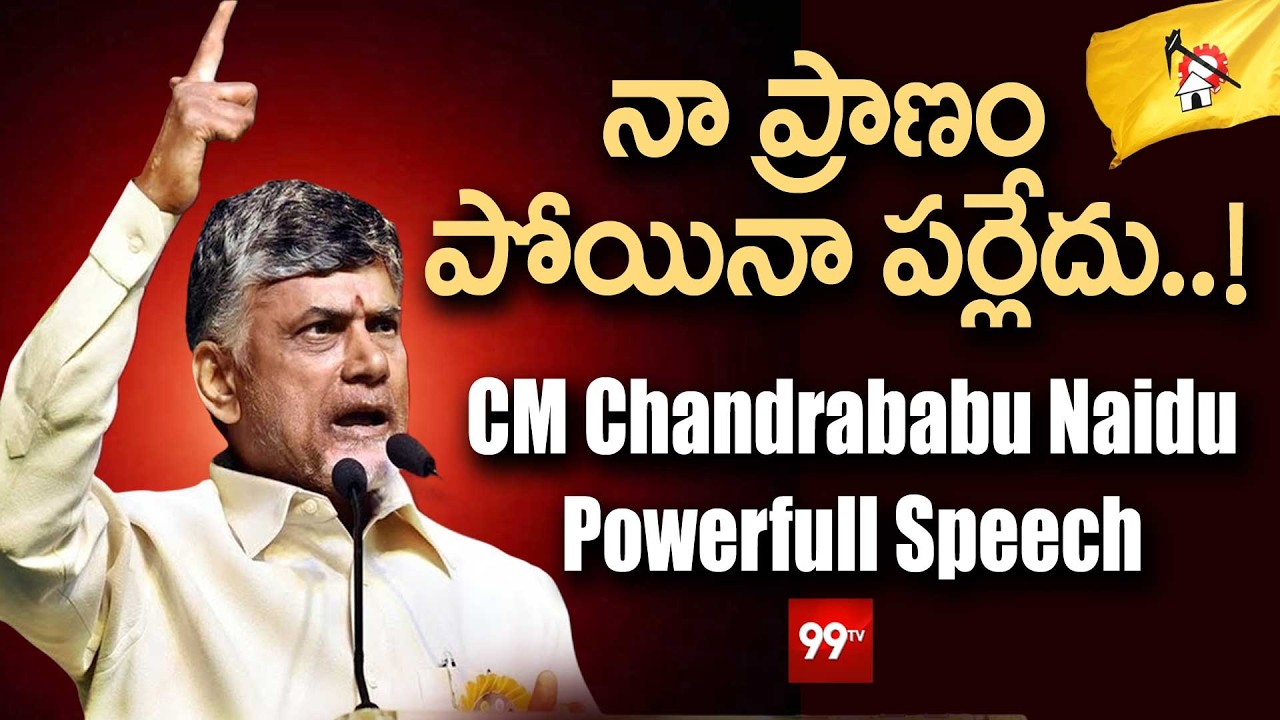 నా ప్రాణం పోయినా పర్లేదు..! | CM Chandrababu Naidu Powerfull Speech in Vinukonda Public Meeting
