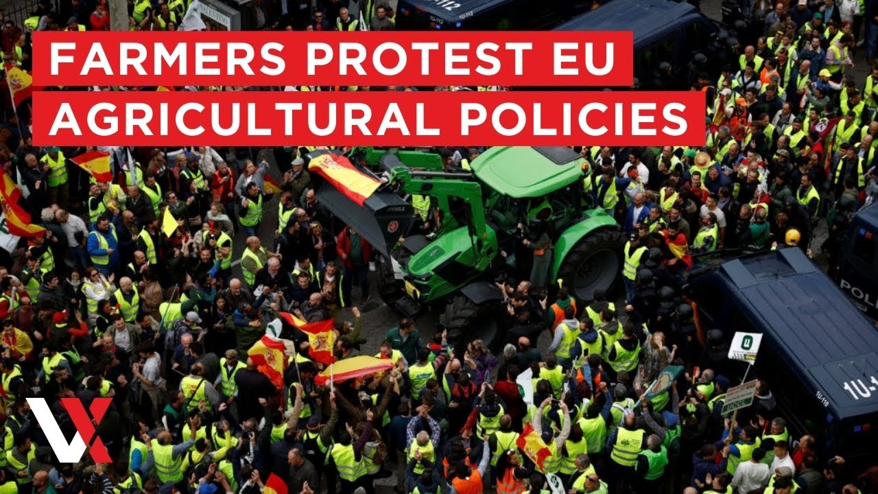 LIVE | European Farmers Stage Mass Protest In Brussels Against EU Agricultural Policy| VERTEX