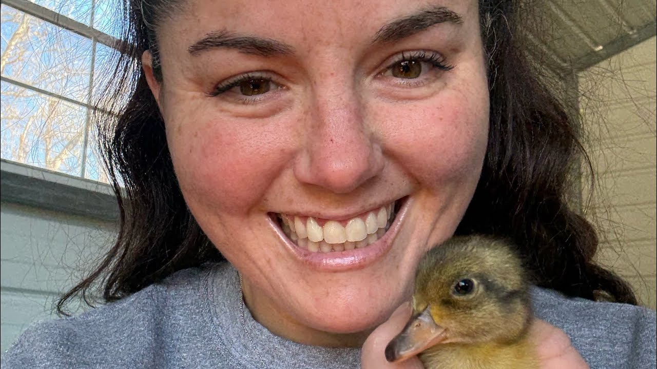 Sowing Seeds and Raising Little Beaks