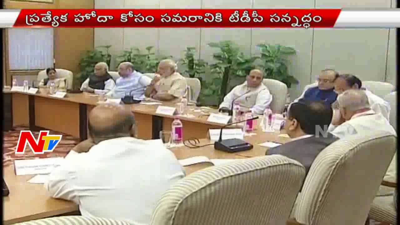 TDP Prepares to Fight for AP Special Status | NTV