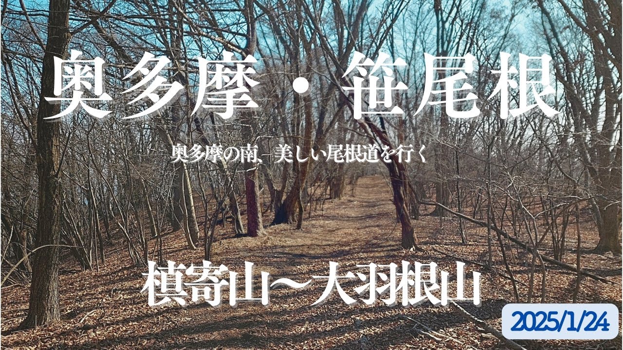 『奥多摩・笹尾根』奥多摩の南、美しい尾根道を歩く　【槙寄山～大羽根山】