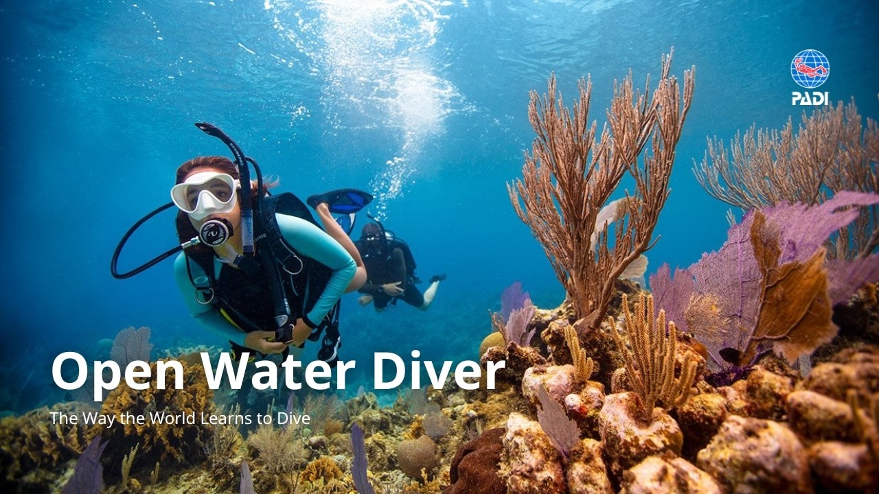 Learn to Scuba Dive - PADI Open Water Diver Course