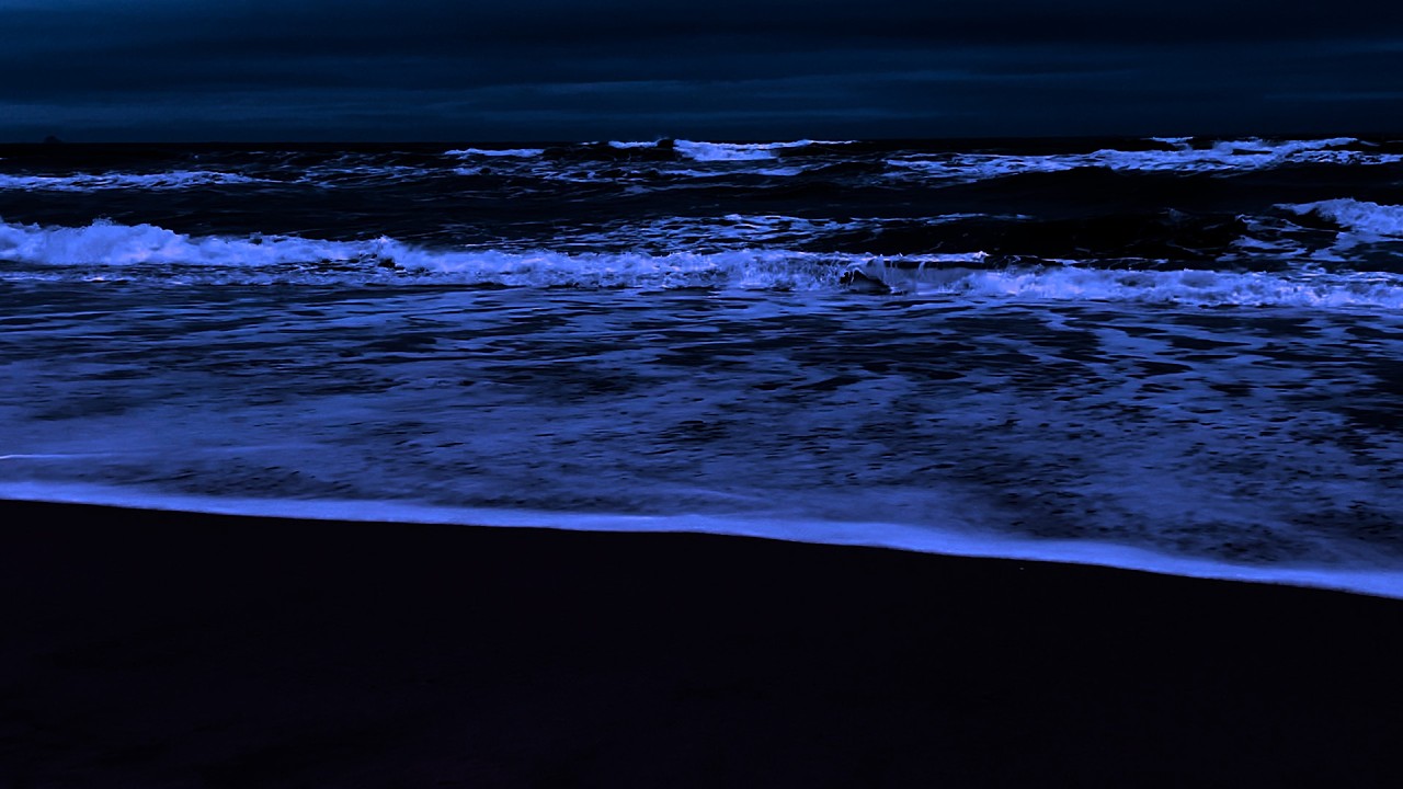 Ocean Waves 🌊 Natural Sleep Sounds