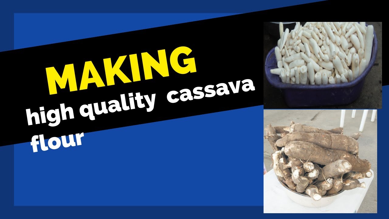 Making High Quality Cassava Flour