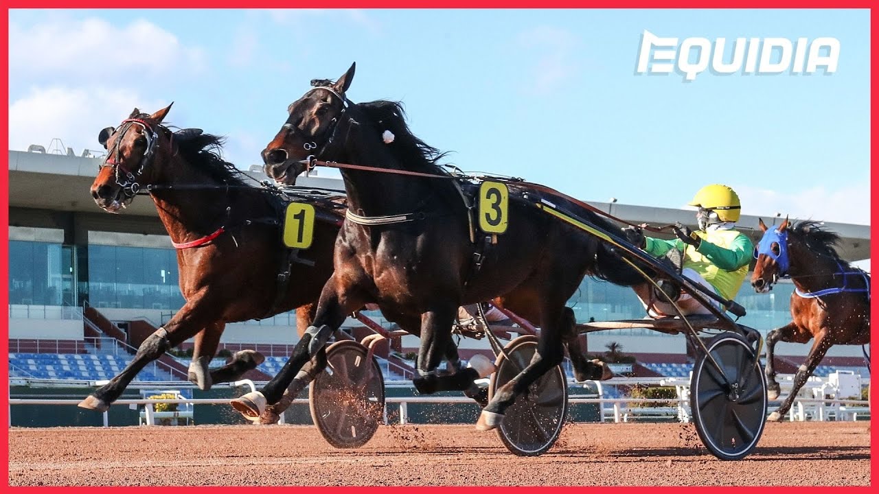 VIVID WISE AS CONFIRME | Grand Critérium de Vitesse de la Côte d'Azur | Groupe 1 | Cagnes-sur-Mer